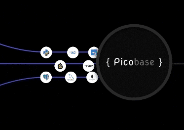 Picobase - Develop APIs in secs